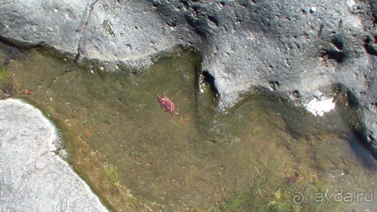 "Азоры..." Острова: 5.Pico (fin) 6.SãoJorge 7.Gracioza