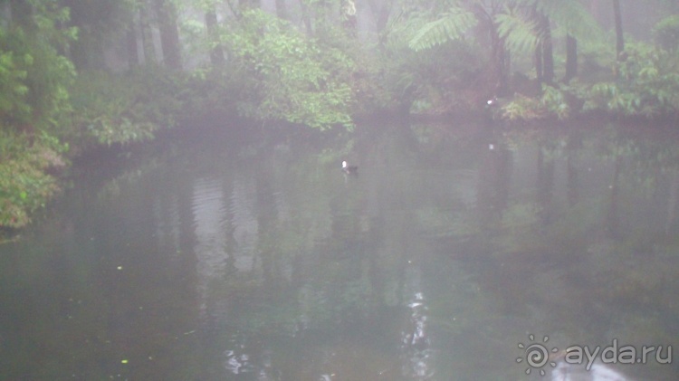 "Азоры..." Острова: 5.Pico (fin) 6.SãoJorge 7.Gracioza