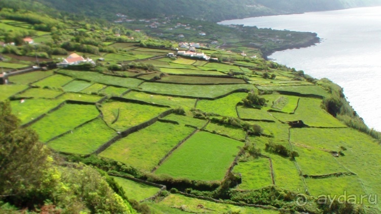 "Азоры..." Острова: 5.Pico (fin) 6.SãoJorge 7.Gracioza