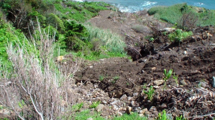 "Азоры это шо?" и "Азоры это хде?". Остров 2. Flores