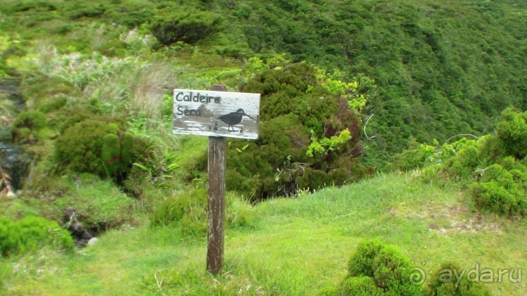 "Азоры это шо?" и "Азоры это хде?". Остров 2. Flores