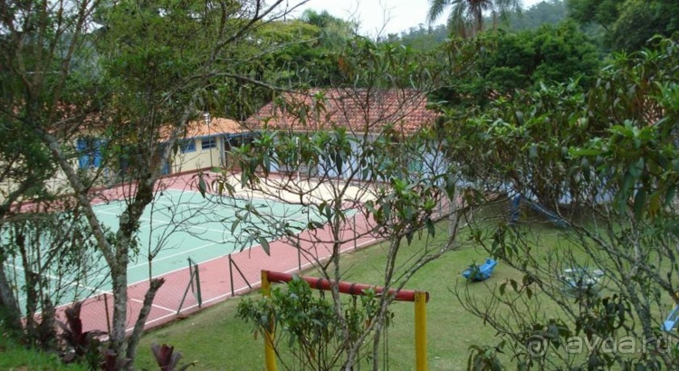 Живая Бразилия. 4/2 и 5. Штаты Pernambuco и Sao Paulo