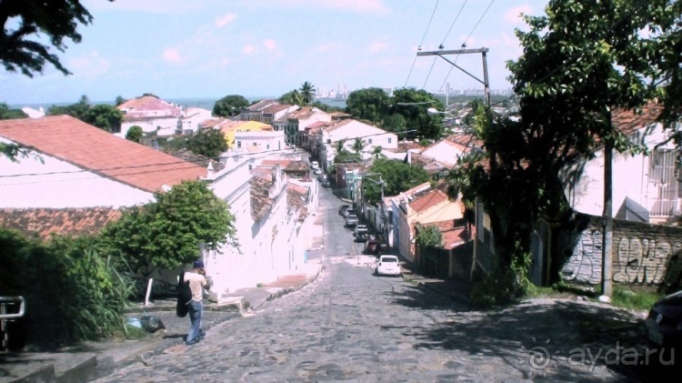 Живая Бразилия. 4/2 и 5. Штаты Pernambuco и Sao Paulo