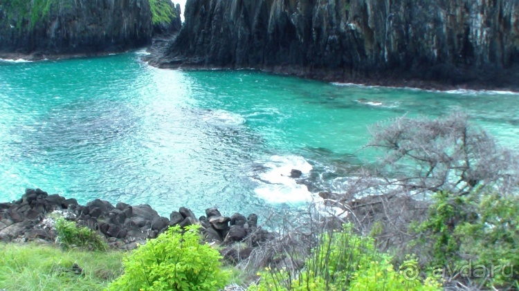 Живая Бразилия. 4/2 и 5. Штаты Pernambuco и Sao Paulo