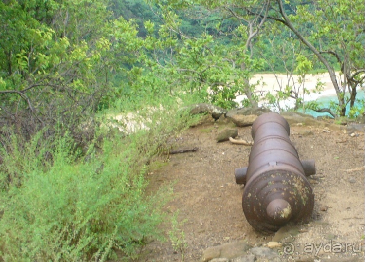 Живая Бразилия. 4/2 и 5. Штаты Pernambuco и Sao Paulo