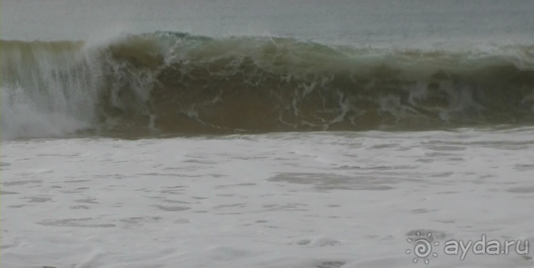 Живая Бразилия. 4/2 и 5. Штаты Pernambuco и Sao Paulo