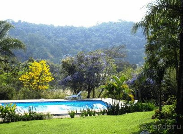 Живая Бразилия. 4/2 и 5. Штаты Pernambuco и Sao Paulo