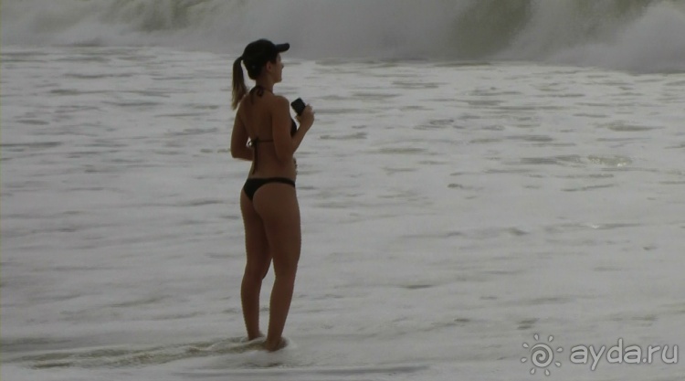 Живая Бразилия. 4/2 и 5. Штаты Pernambuco и Sao Paulo