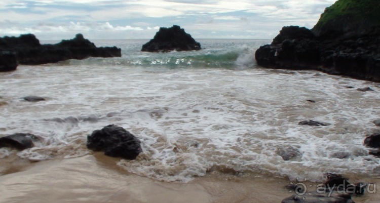 Живая Бразилия. 4/2 и 5. Штаты Pernambuco и Sao Paulo