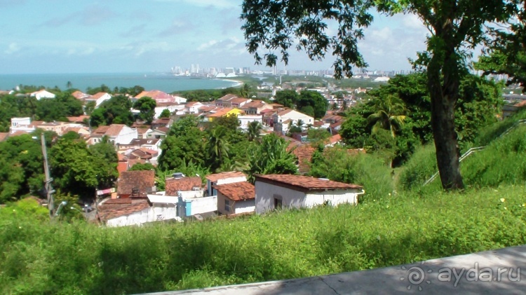 Живая Бразилия. 4/2 и 5. Штаты Pernambuco и Sao Paulo