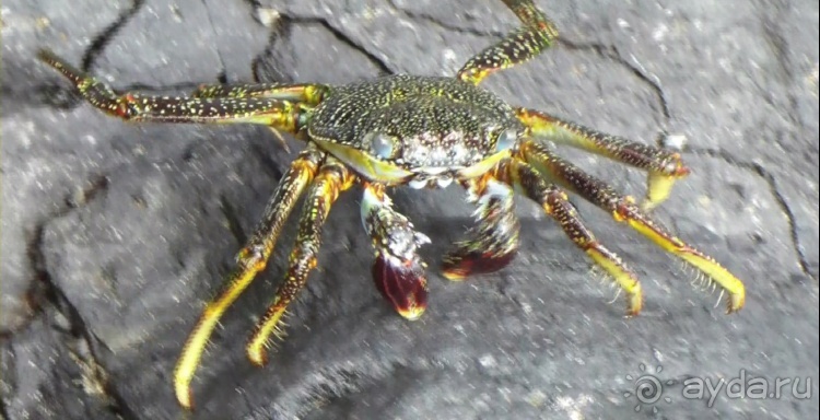 Живая Бразилия. 4/2 и 5. Штаты Pernambuco и Sao Paulo