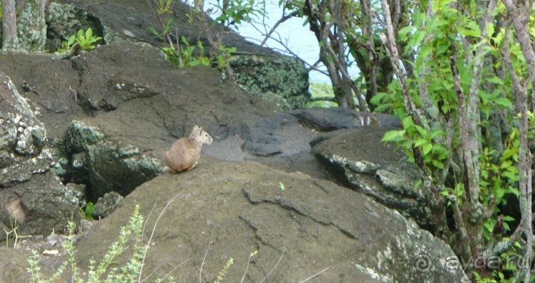 Живая Бразилия. 4/2 и 5. Штаты Pernambuco и Sao Paulo