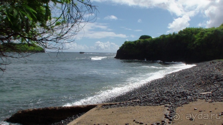 Живая Бразилия. 4/2 и 5. Штаты Pernambuco и Sao Paulo