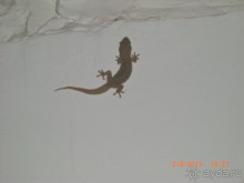 Простенький райский островок