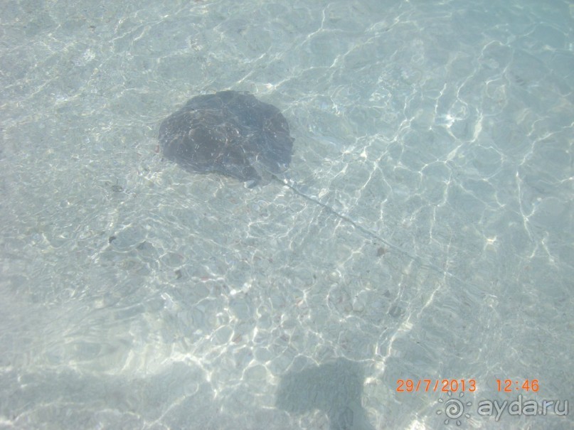 Простенький райский островок