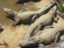 Отличный отель