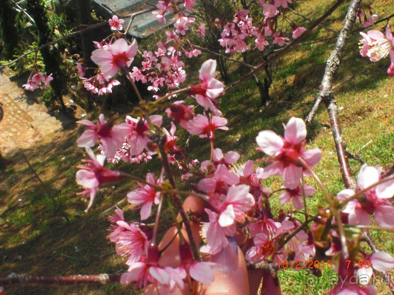 Отличный отель