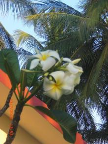 Отличный отель