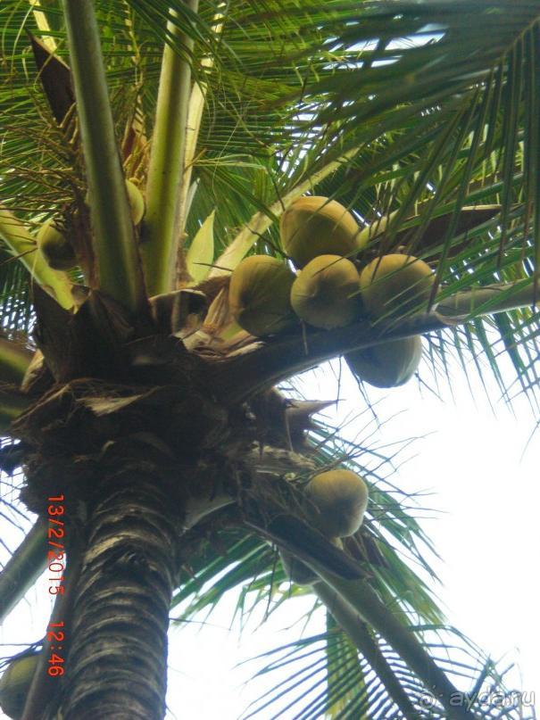 Отличный отель