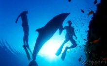 Чарующий Тарханкут