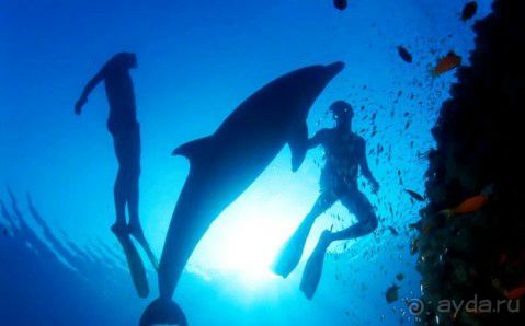 Чарующий Тарханкут