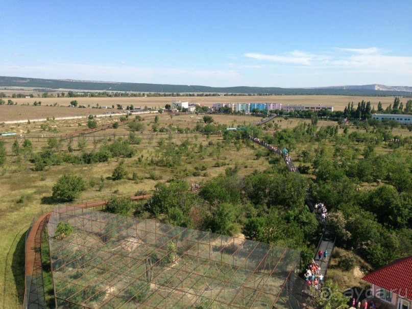 Самый крупный парк львов в Европе - Тайган