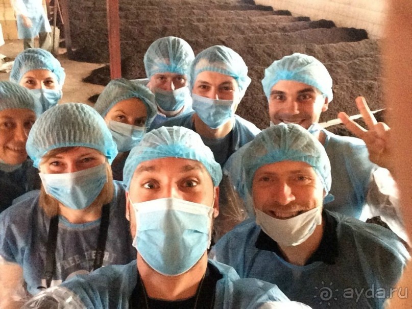 Чайный  тур в Китай