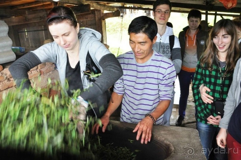 Чайный  тур в Китай