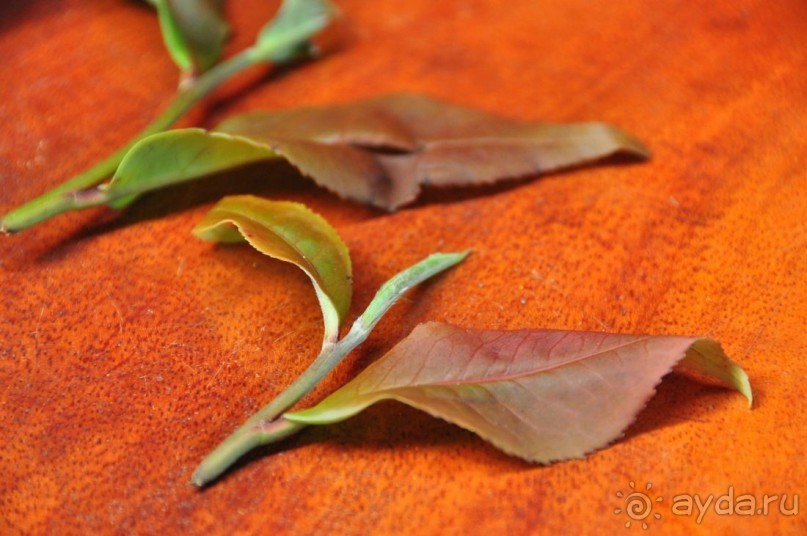 Чайный  тур в Китай