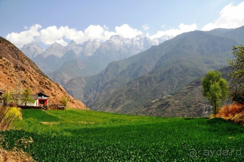 Чайный  тур в Китай