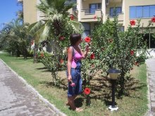 На территории отеля