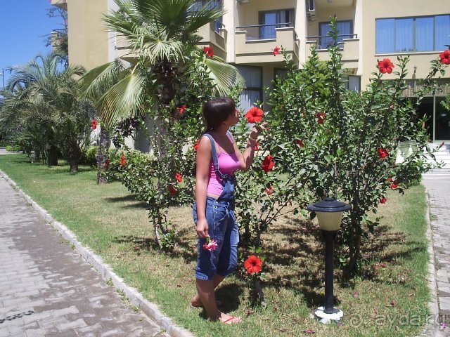 На территории отеля