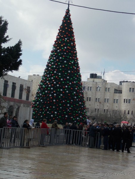 январь ,он и в африке январь