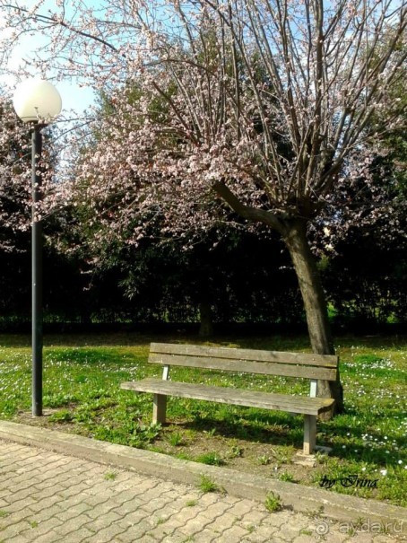 В Италии в феврале уже весна...