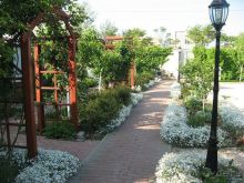 Отдых в Поповке