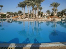 Февральский визит на юг