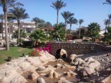 Февральский визит на юг