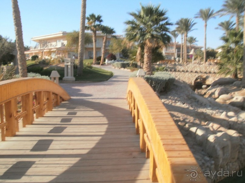 Февральский визит на юг