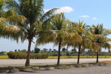 фото Herradura (закрыт)