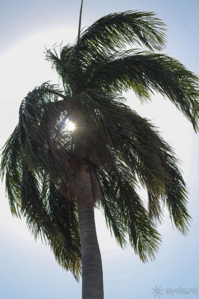 фото Herradura (закрыт)