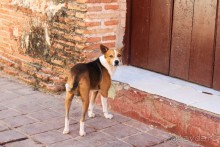 фото Herradura (закрыт)