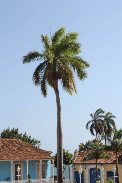 фото Herradura (закрыт)