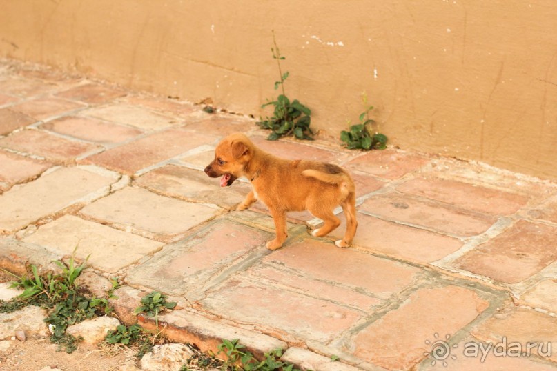 фото Herradura (закрыт)