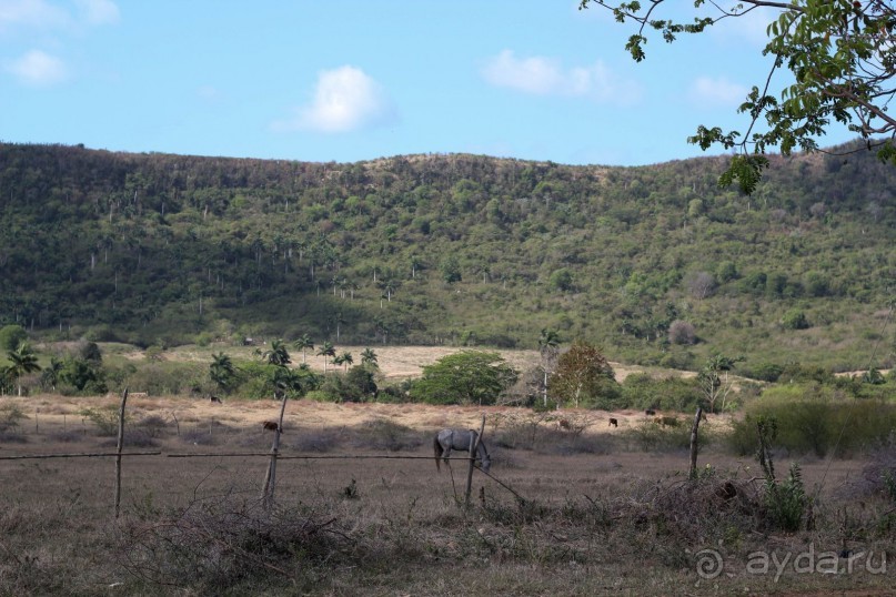 катание на лошадях