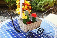 фото Rosa Apartment Complex