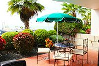 фото Rosa Apartment Complex