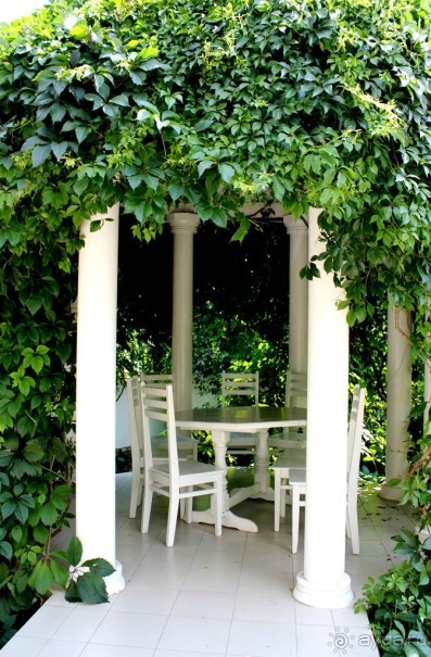 фото Бригантина