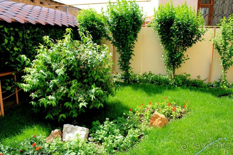 фото Бригантина