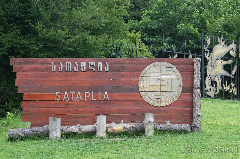 Майские праздники в Грузии!!