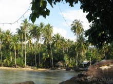 Островной отдых в бунгало